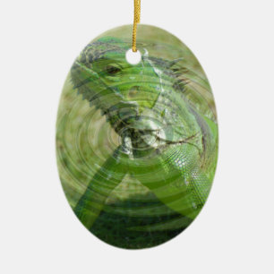 Ornement Ovale En Céramique L'Iguana verte