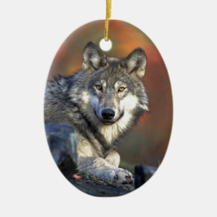 Ornement Ovale En Céramique Loup Gris