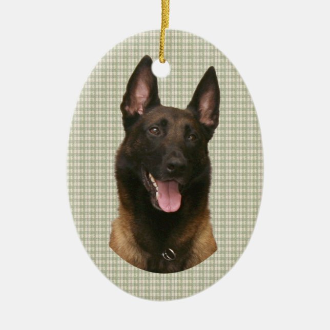 Ornement Ovale En Céramique malinois belge (Devant)