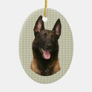 Ornement Ovale En Céramique malinois belges