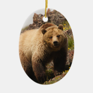 Ornement Ovale En Céramique ours