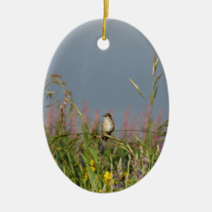 Ornement Ovale En Céramique Petit colibri gras