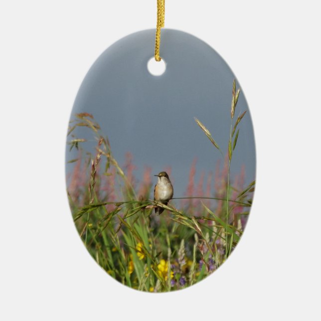 Ornement Ovale En Céramique Petit colibri gras (Devant)