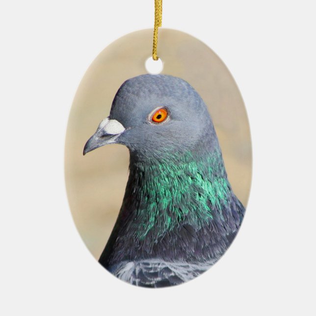 Ornement Ovale En Céramique Pigeon (Devant)