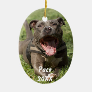 Ornement Ovale En Céramique Pitbull dans l'herbe
