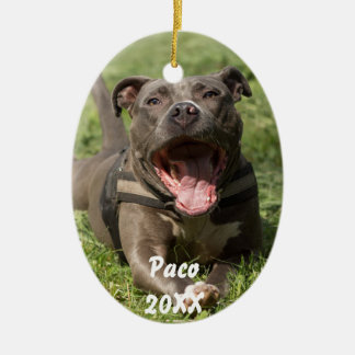 Ornement Ovale En Céramique Pitbull dans l'herbe