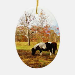 Ornement Ovale En Céramique Poney miniature noir et blanc / Cheval