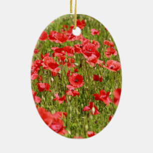 Ornement Ovale En Céramique Poppy field