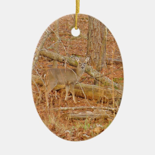 Ornement Ovale En Céramique Premier hiver du Cerf de Bébé (Devant)