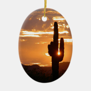 Ornement Ovale En Céramique Rayons de Saguaro