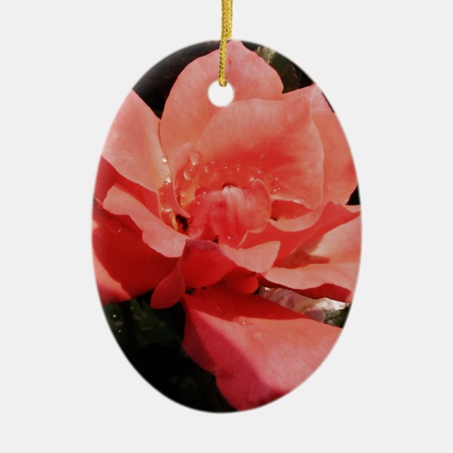 Ornement Ovale En Céramique rose de pêche et détritus (Devant)