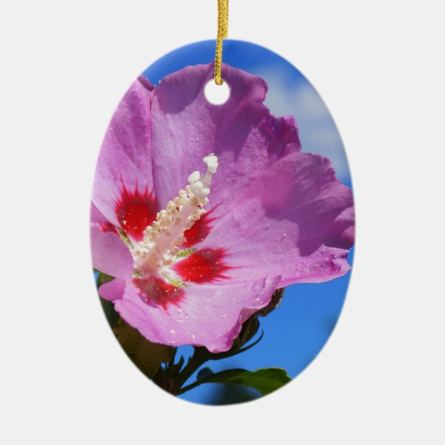 Ornement Ovale En Céramique Rose de Sharon Photograph (Devant)