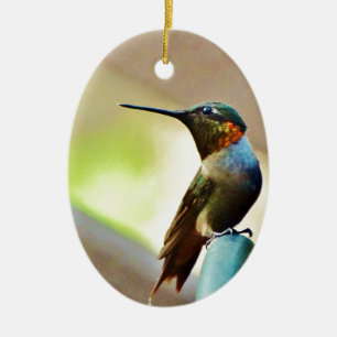 Ornement Ovale En Céramique Ruby perché et petit colibri vert