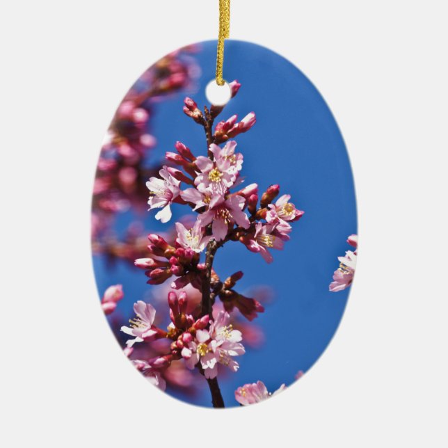 Ornement Ovale En Céramique Sakura Cerry Blossoms Touché Bleu (Devant)