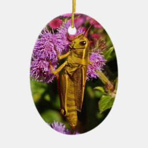 Ornement Ovale En Céramique Sauterelle sur l'Ageratum