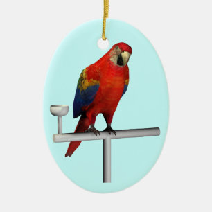 Ornement Ovale En Céramique Scarlet rouge Macaw