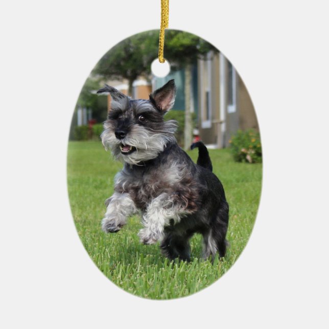 Ornement Ovale En Céramique Schnauzer, joie (Devant)