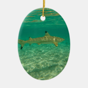 Ornement Ovale En Céramique Shark in bora bora