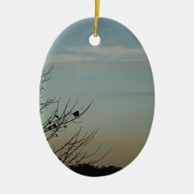 Ornement Ovale En Céramique Silhouette d'oiseau bleu Poudre Ciel bleu (Devant)