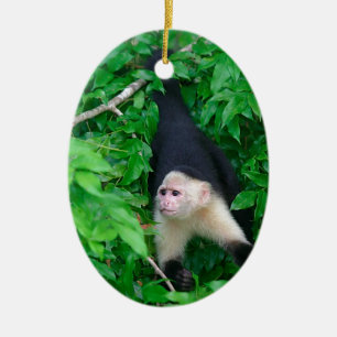 Ornement Ovale En Céramique Singe capucin à visage blanc