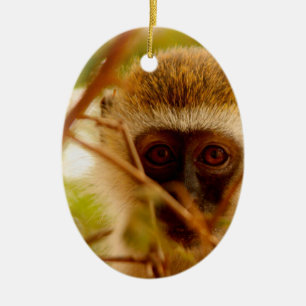 Ornement Ovale En Céramique Singe Cheeky.