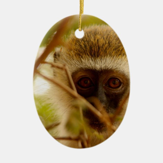 Ornement Ovale En Céramique Singe Cheeky. (Devant)