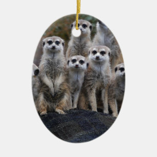 Ornement Ovale En Céramique Suricate Animal Safari Afrique Mignon