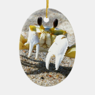 Ornement Ovale En Céramique Surprise de crabe de fantôme