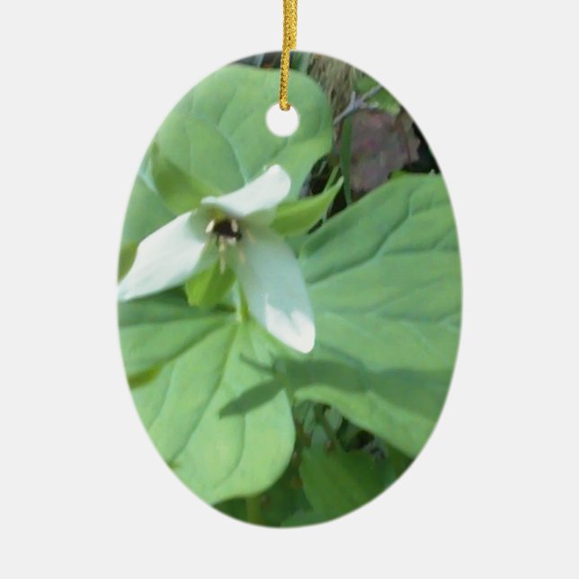 Ornement Ovale En Céramique trillium blanc avec verdure (Devant)