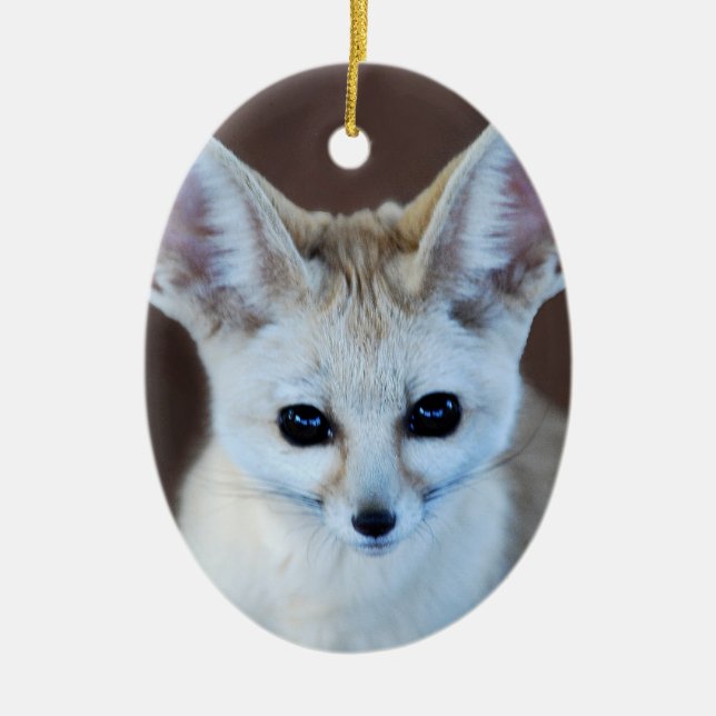 Ornement Ovale En Céramique Worlest Cutest Fennec Fox (Devant)