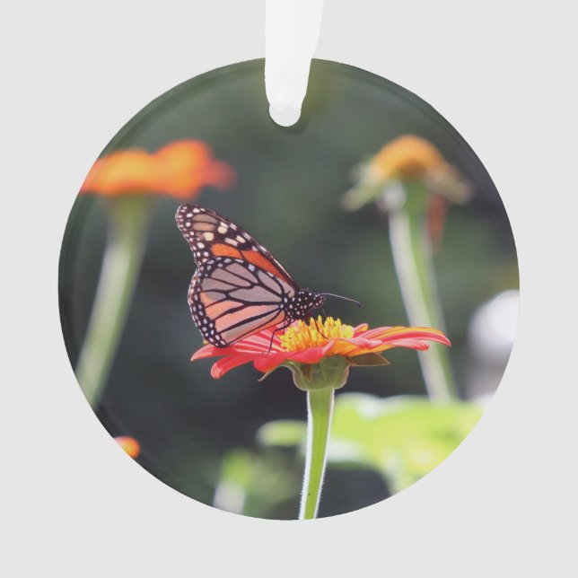 Ornement papillon (devant)