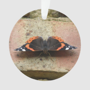 Ornement Papillon Amiral Rouge