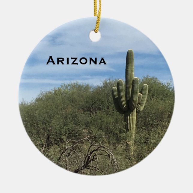 Ornement paysager de l'Arizona Saguaro Cactus (Devant)