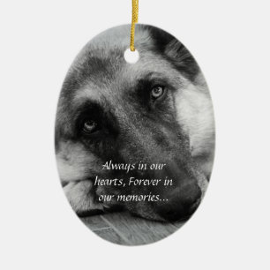 Ornement perdu d'animal familier