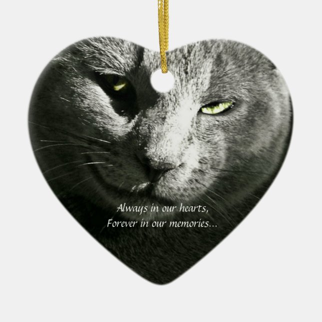 Ornement perdu d'animal familier (Devant)