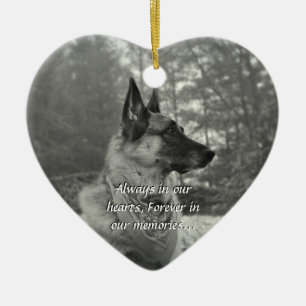 Ornement perdu d'animal familier