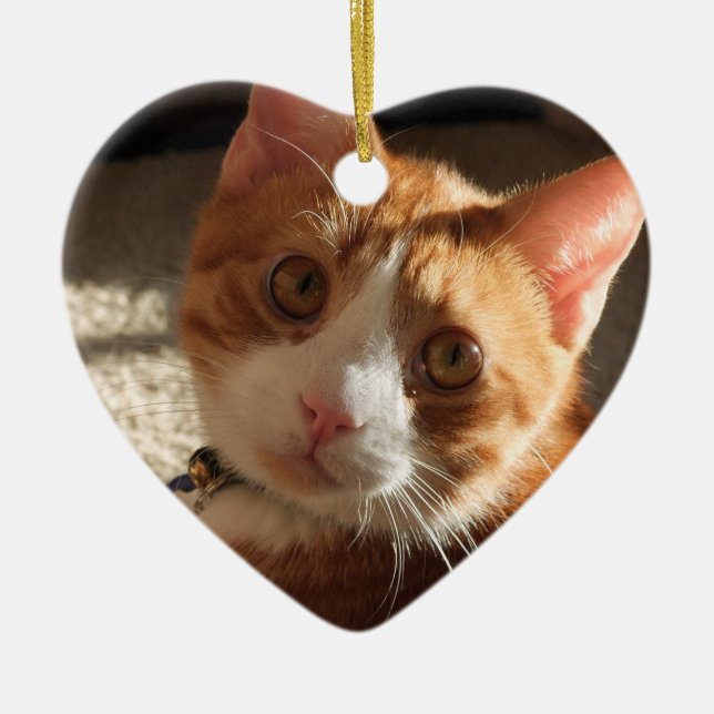Ornement personnalisé de coeur de photo d'animal (Devant)