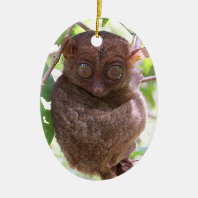 Ornement philippin de Tarsier (Devant)