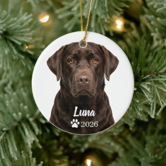 Ornement photo de chien Labrador chocolat personna
