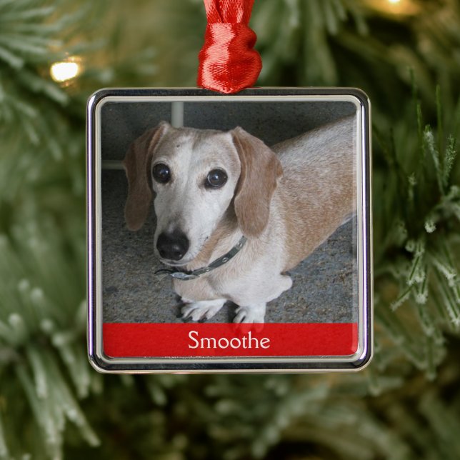 Ornement Photo Dog personnalisé (Arbre)