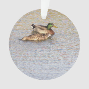 Ornement photo Mallard Ducks