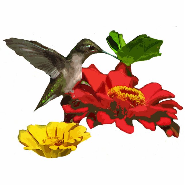 Ornement Photo Sculpture Acrylique accrochant de Noël de colibri (Devant)