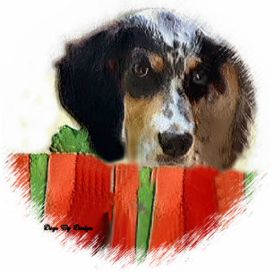 Ornement Photo Sculpture Anglais Setter Noël Cadeaux Ornament