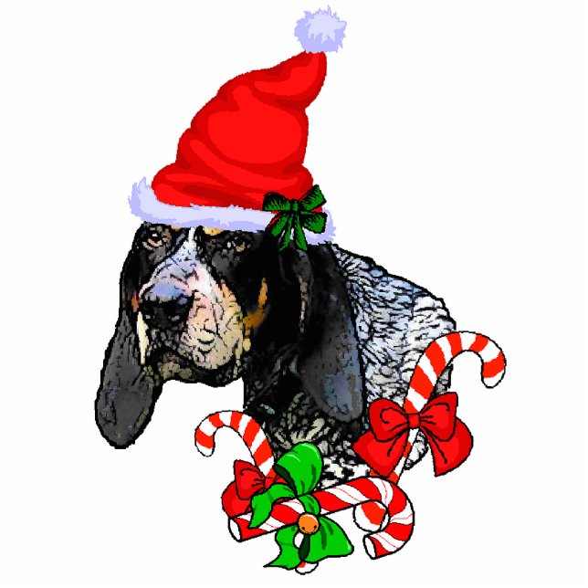 Ornement Photo Sculpture Bluetick Coonhound cadeaux de Noël (Devant)