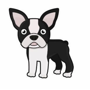 Ornement Photo Sculpture Boston mignon Terrier