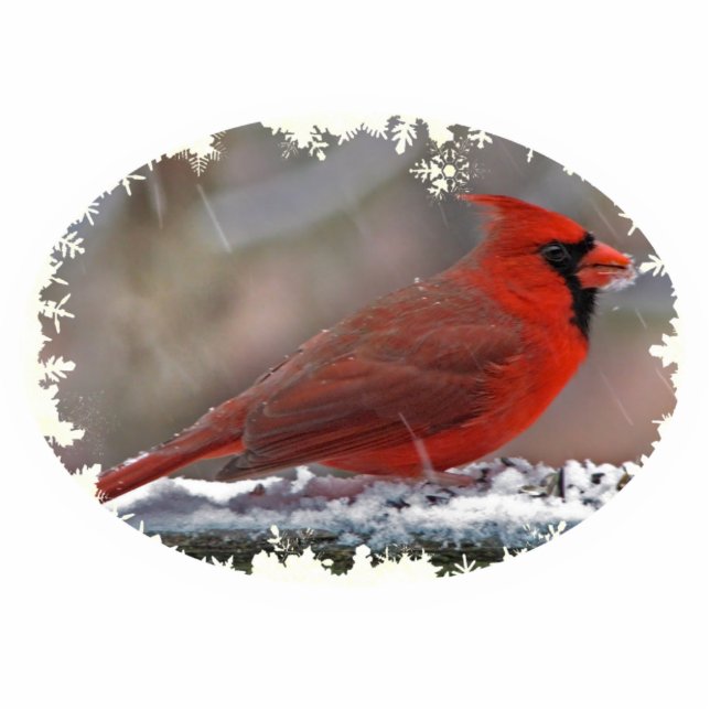 Ornement Photo Sculpture Cardinal Noël pendre Acrylique (Devant)