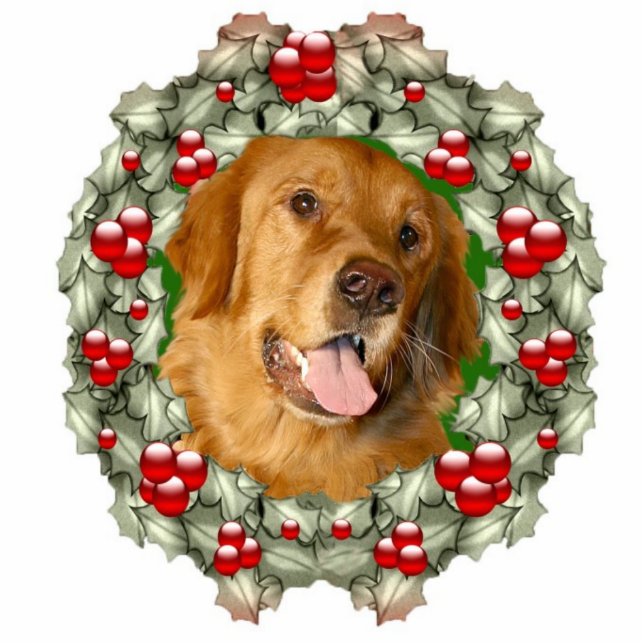 Ornement Photo Sculpture Couronne de Noël Golden Retriever (Devant)