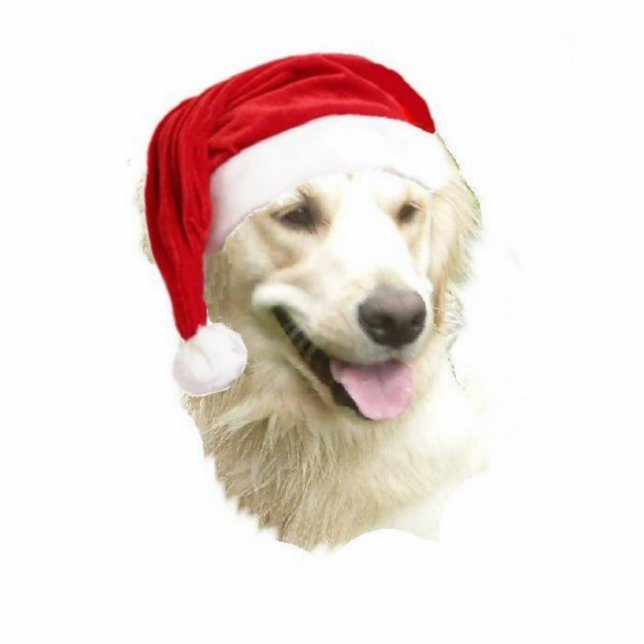 Ornement Photo Sculpture Golden Retriever (Devant)
