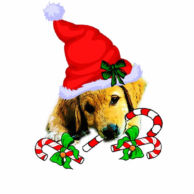 Ornement Photo Sculpture Golden Retriever Cadeaux de Noël Ornement (Devant)