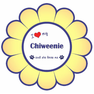 Ornement Photo Sculpture J'aime mon Chiweenie (le chien femelle)